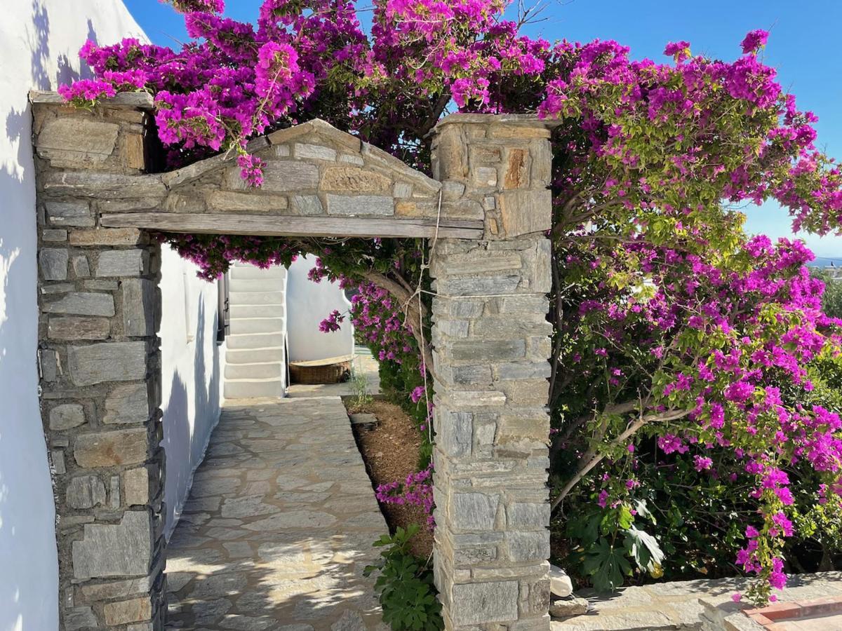 Villa Zeus - Parikia - Paros - Grece Krotiri Bagian luar foto